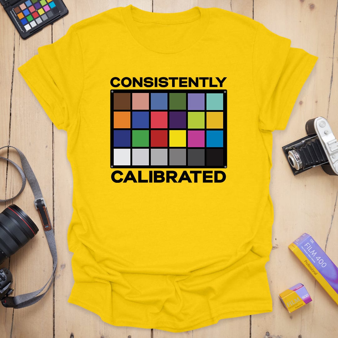 Consistently Calibrated T-Shirt
