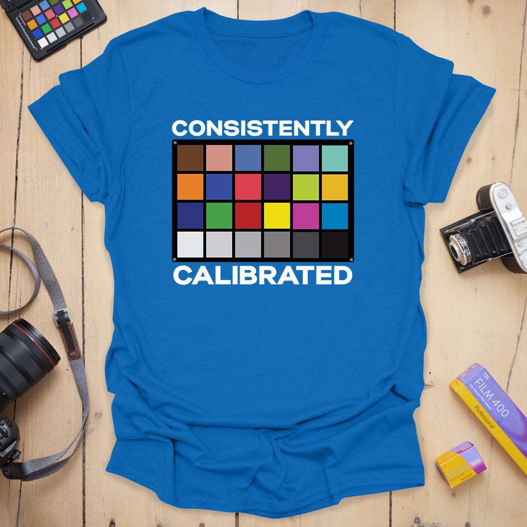Consistently Calibrated T-Shirt