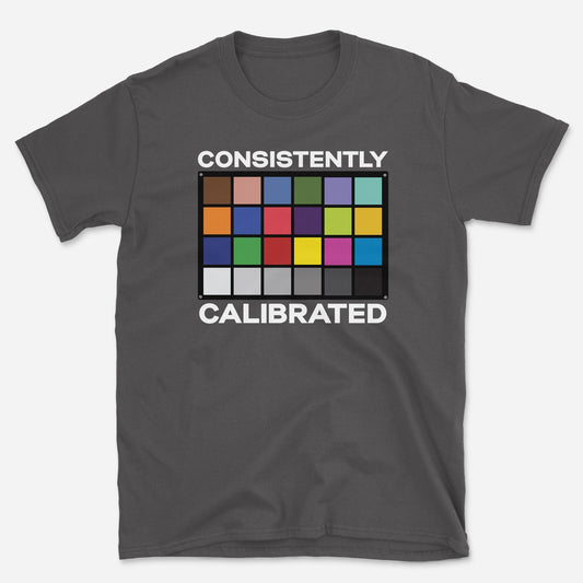 Consistently Calibrated T-Shirt