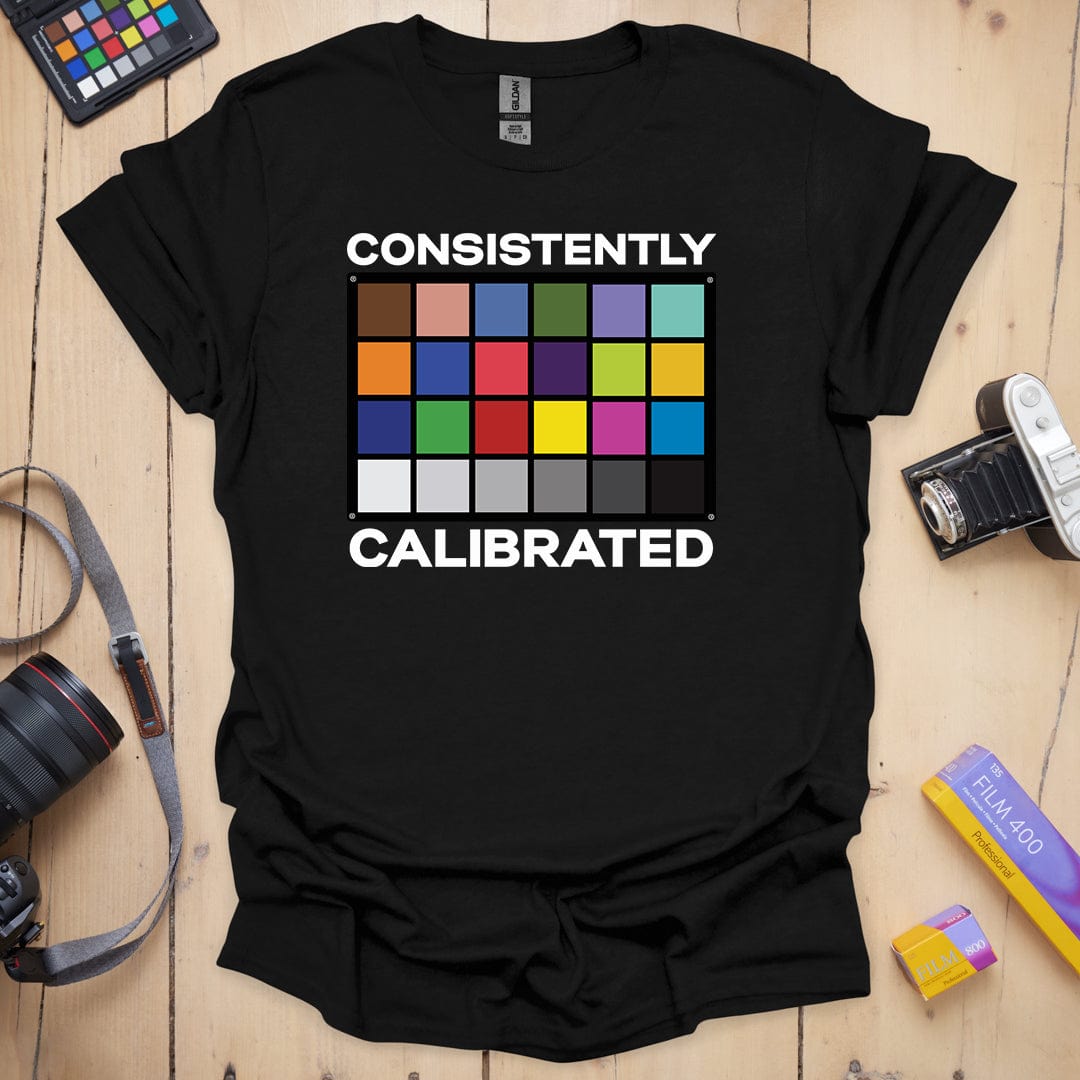 Consistently Calibrated T-Shirt