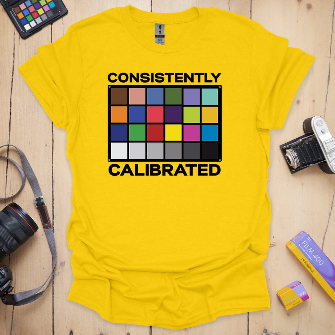 Consistently Calibrated T-Shirt