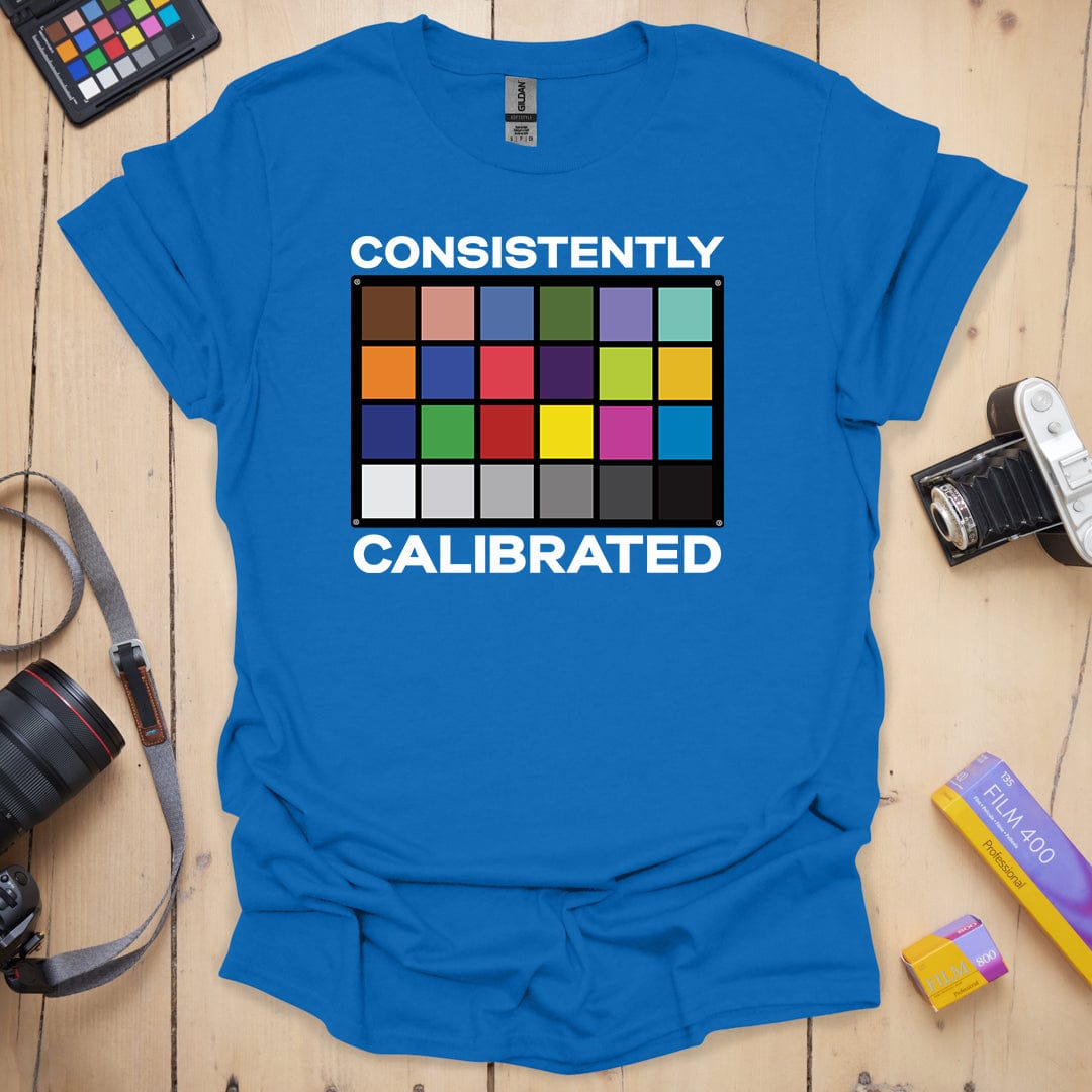 Consistently Calibrated T-Shirt